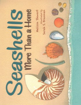 Seashells - MPHOnline.com