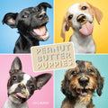 Peanut Butter Puppies - MPHOnline.com