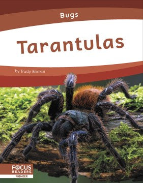 Tarantulas - MPHOnline.com