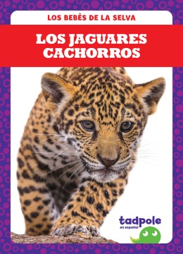 Los jaguares cachorros/ Jaguar Cubs - MPHOnline.com