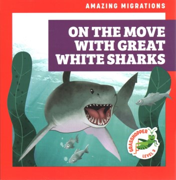 On the Move With Great White Sharks - MPHOnline.com