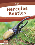 Hercules Beetles - MPHOnline.com