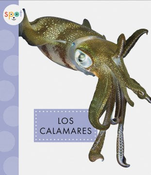 Los calamares/ Squids - MPHOnline.com