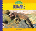 Iguanas - MPHOnline.com