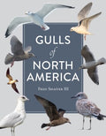 Gulls of North America - MPHOnline.com