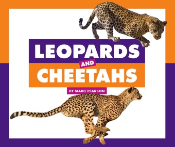 Leopards and Cheetahs - MPHOnline.com