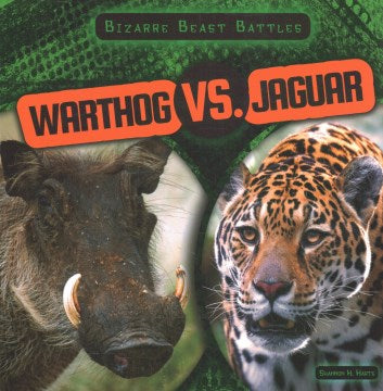 Warthog VS. Jaguar - MPHOnline.com