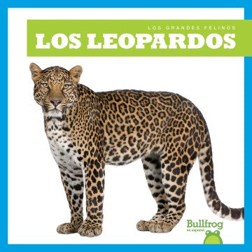 Los leopardos/ Leopards - MPHOnline.com