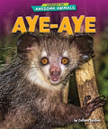 Aye-Aye - MPHOnline.com