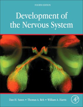 Development of the Nervous System - MPHOnline.com