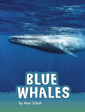 Blue Whales - MPHOnline.com