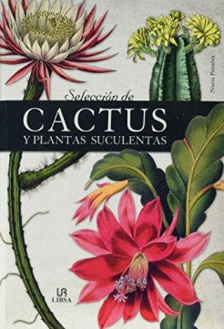 Selecci?n de cactus y plantas suculentas / Cacti and Succulent Plants - MPHOnline.com