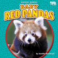 Baby Red Pandas - MPHOnline.com