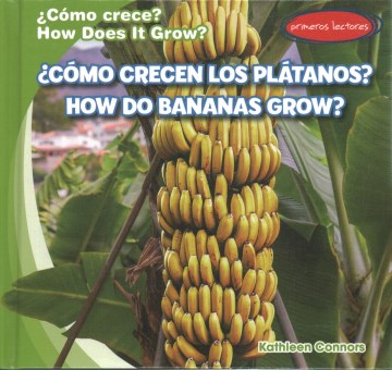 C?mo crecen los pl?tanos? / How Do Bananas Grow? - MPHOnline.com