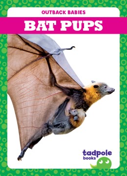 Bat Pups - MPHOnline.com