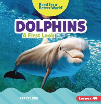 Dolphins - MPHOnline.com