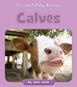 Calves - MPHOnline.com