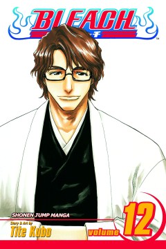 Bleach 12 - MPHOnline.com