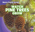 Watch Pine Trees Grow - MPHOnline.com