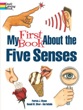 My First Book About the Five Senses - MPHOnline.com