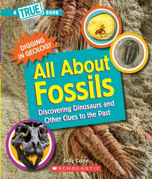 All About Fossils - MPHOnline.com