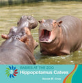 Hippopotamus Calves - MPHOnline.com