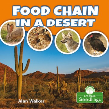 Food Chain in a Desert - MPHOnline.com