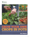 Grow Your Own Crops in Pots - MPHOnline.com