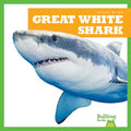 Great White Shark - MPHOnline.com