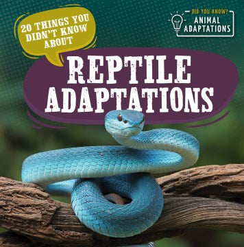 20 Things You Didn't Know About Reptile Adaptations - MPHOnline.com