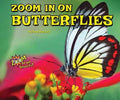 Zoom in on Butterflies - MPHOnline.com