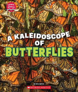 A Kaleidoscope of Butterflies - MPHOnline.com