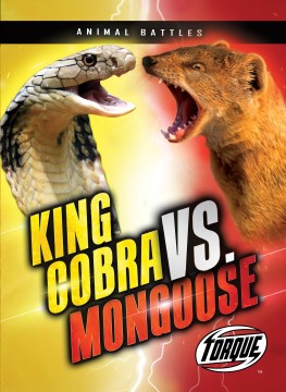 King Cobra Vs. Mongoose - MPHOnline.com