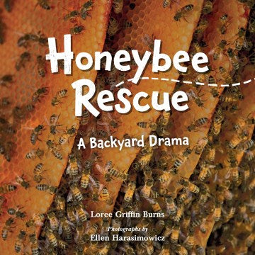 Honeybee Rescue - MPHOnline.com