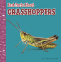 Fast Facts About Grasshoppers - MPHOnline.com