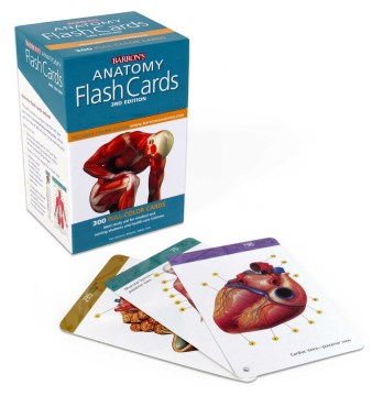 Barron`s Anatomy Flash Cards 3Ed - MPHOnline.com