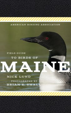 American Birding Association Field Guide to Birds of Maine - MPHOnline.com