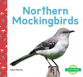 Northern Mockingbirds - MPHOnline.com