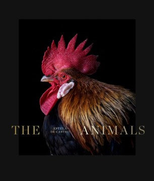 The Animals - MPHOnline.com