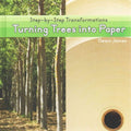 Turning Trees into Paper - MPHOnline.com