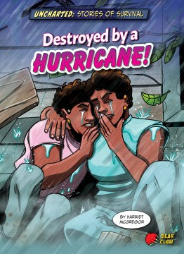 Destroyed by a Hurricane! - MPHOnline.com