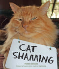 Cat Shaming - MPHOnline.com