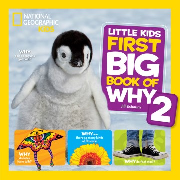 Little Kids First Big Book of Why 2 - MPHOnline.com