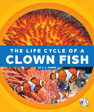 The Life Cycle of a Clown Fish - MPHOnline.com