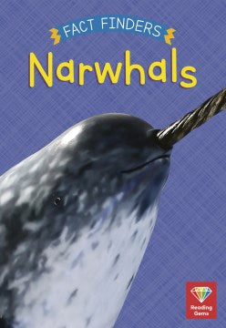 Narwhals - MPHOnline.com