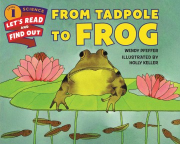 From Tadpole to Frog - MPHOnline.com