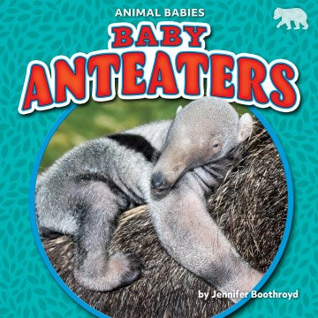 Baby Anteaters - MPHOnline.com