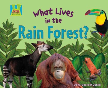 What Lives in the Rain Forest? - MPHOnline.com