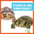 Turtle or Tortoise? - MPHOnline.com