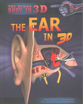 The Ear in 3D - MPHOnline.com